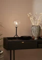 miljo_andrew_107749.jpg