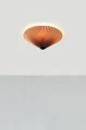 108707.webp