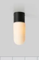 107797.webp